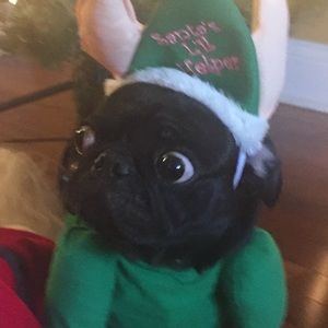 Meet your Posher, Deanna